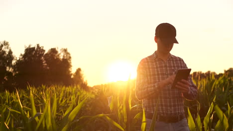 Ein-Landwirt-Las-Oder-Analysierte-Einen-Bericht-Auf-Einem-Tablet-Computer-über-Ein-Landwirtschaftliches-Feld-Mit-Vintage-Ton-über-Ein-Sonnenlicht-Landwirtschaftskonzept.